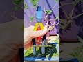 Short Succulent DX 00003 #bonsai #branch #plant