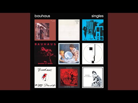 Bauhaus — Paranoia, Paranoia