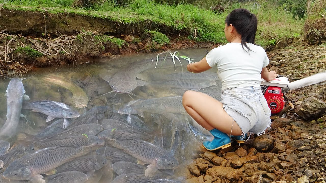 Ide Catching Fishing Techniques, How to Catch Fish in the Lake, Survival Fishing ...