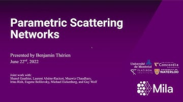Parametric Scattering Networks | CVPR 2022