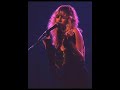 Stevie nicks  lady from the mountain