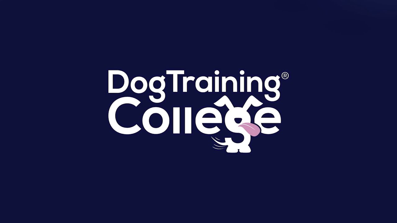 [Dog Training College] Holistic Veterinary Medicine Master Class - Lecture 1 (Excerpt)