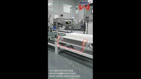 HESHAN® Automatic Wonton Skin Machine ( Wonton Wrapper Machine) Production Line 河山自动馄饨皮机 (云吞皮生产线)