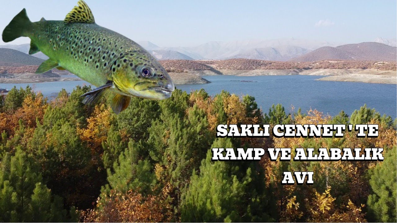 КЕМПИНГ И ЛОВЛЯ ФОРЕЛИ В РАЙ