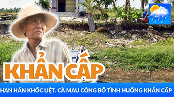 Cà Mau công bố tình huống khẩn cấp hạn hán tại 2 địa phương | Tin thiên tai