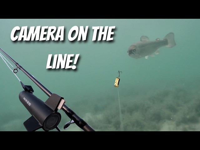 camera fish pole test Vividia FP-420 all-in-one fishing rod with 2MP underwater and 5" LCD monitor Oasis Scientific Algae Growth or Barnacles Monitor Structural Conditions camera_enhance Image Quality GoPro 4K Image Quality Adjustable standard and wide angle capture build Construction Quality High quality rugged cable Lightweight telescopic oval FishEyes Rod and Reel underwater