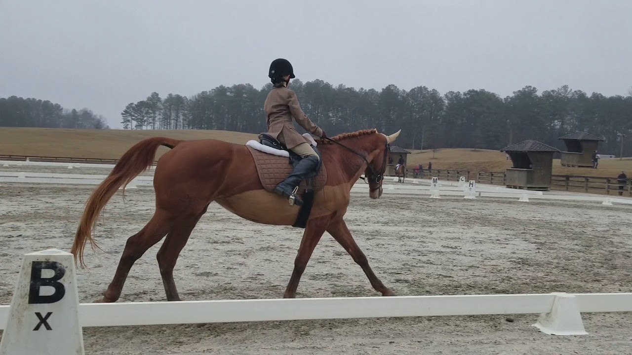 2018 Beginner Novice Test B Chatt Hills YouTube