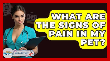 What Are The Signs Of Pain In My Pet? - Ask A Pet Vet