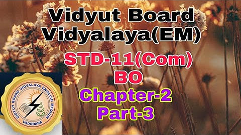 931.Std-11,Business Organization,Chapter-2,Part-3 | Vidyut Board Vidyalaya | BHAGYESH THAKKAR