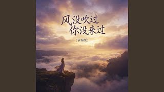 风没吹过你没来过 (节奏版)