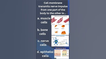 #mdcat//biology//class 11//cell//quiz#