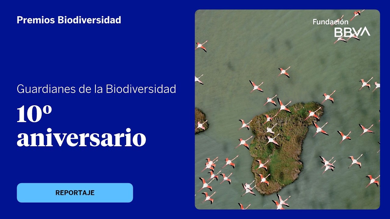 Guardianes de la Biodiversidad: 10º aniversario del Premio a la Conservación de la Biodiversidad