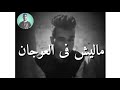 عصام صاصا حاله واتس انا ابن حلال فشيخه