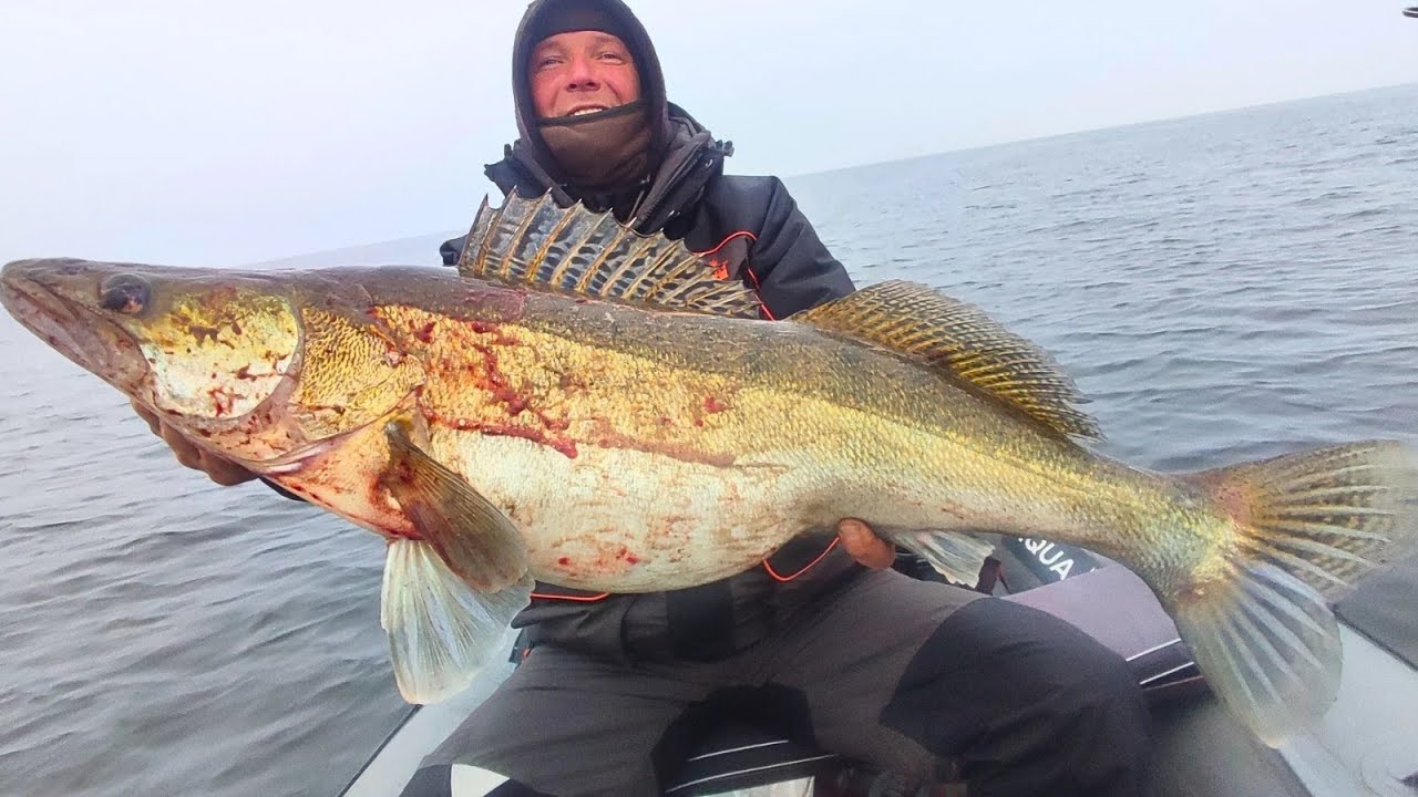 !!! РОЗБУДІТЬ МЕНЕ !!! Чотирі, Пять, Шість кілограм, СКІЛЬКИ тут ЙОГО, Всі МАШИНИ збились в кучу