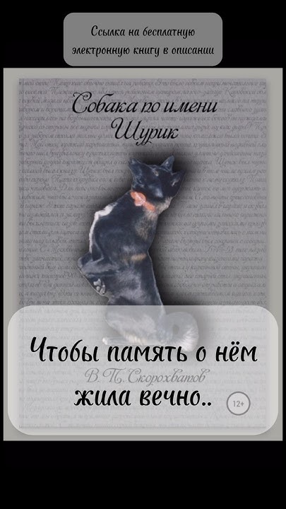 Кратчайший обзор моей книги «Собака по имени Шурик» под музыку из ...