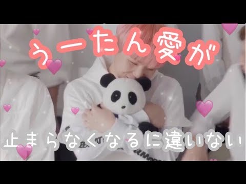 うーたんがひたすらに可愛い動画です Seventeen ウジ Youtube