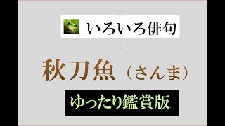 【高齢者向け】定番の秋の季語。趣ある情景を表す美しい言葉たち
