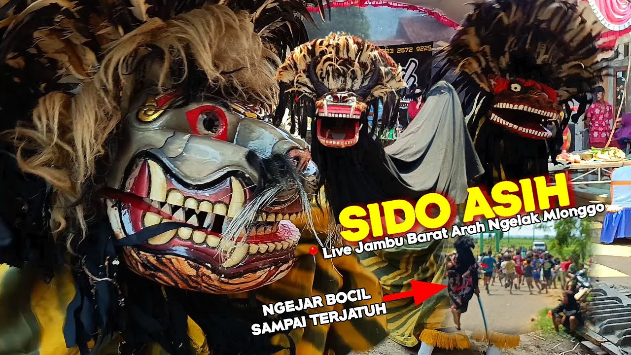 TERBARU‼️BARONGAN SIDO ASIH LIVE DESA JAMBU BARAT NGELAK MLONGGO JEPARA | SINGO BARONG NGAMOK