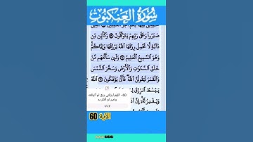 سورة العنكبوت الآية 60 #قرآن #quran #islamicstatus