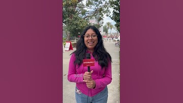 Why Matadors Love CSUN