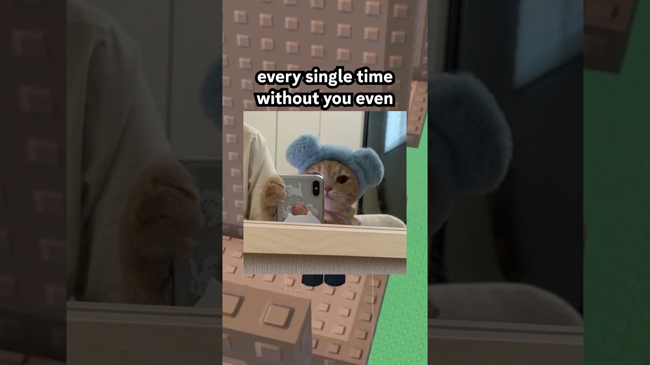 If I was your Pet 🐶😭 #roblox #robloxrant #relatable #rblx