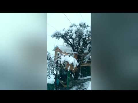 manali fresh snowfall