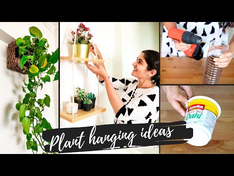 5 Unique Ideas for Hanging Plants Indoors | DIY Elegant and