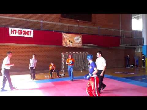 Seherzad Zulic Poing fighting