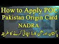 How to Apply Pakistan Origin Card (POC), Nadra Pakistan
