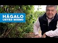 Hágalo usted mismo: Programa 27 de Noviembre 2011