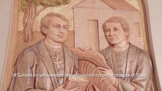A Brief History of the Sisters of Charity of the Incarnate Word (CCVI) - Dr. Gilberto Hinojosa