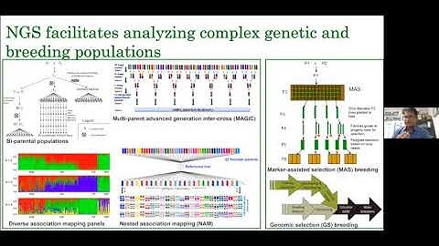 Bioingene.com webinar on Translational genomics for achieving higher genetic gains in groundnut [P2]
