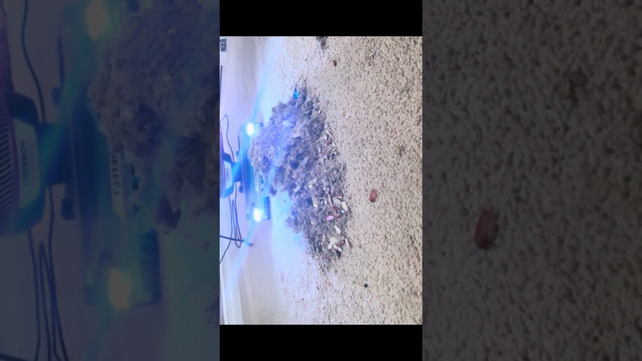 Close up agitation with Shark Power Detect 😛 #vacuumasmr #shark #asmr #oddlysatisfying 