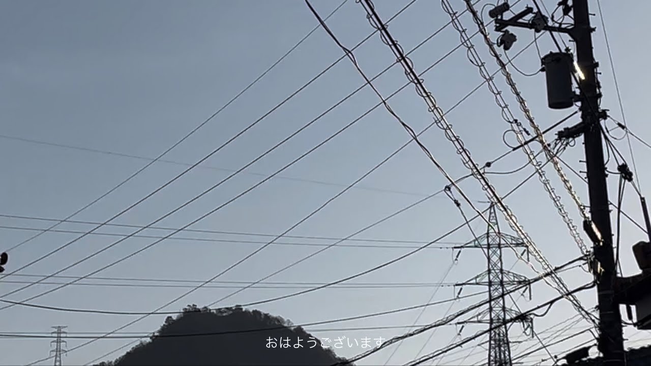 食べたいものを作って食べた日♩