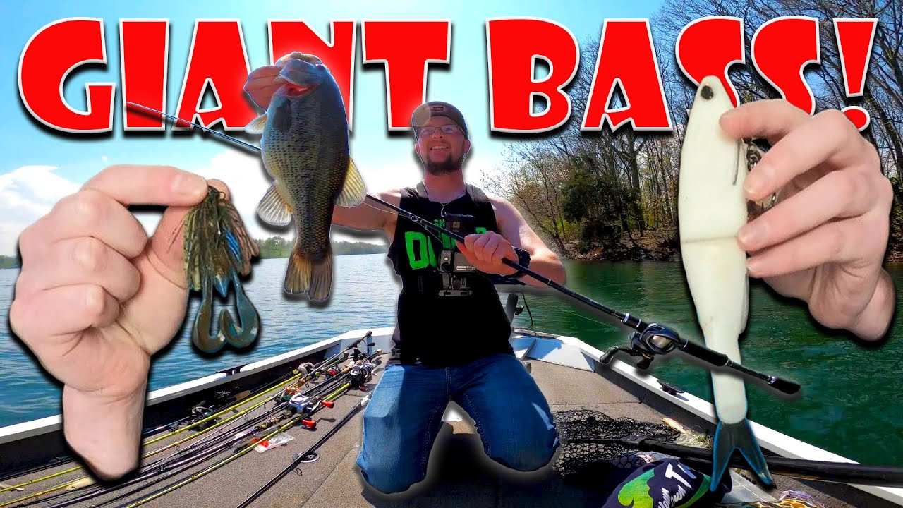 GLIDEBAITS and FLIPPING JIGS fishing in early pre spawn season for GIANT bass