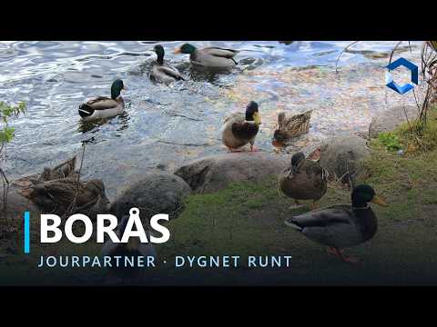 Hantverkare i Borås – Jourpartner | Eljour, VVS-jour & låssmed dygnet runt