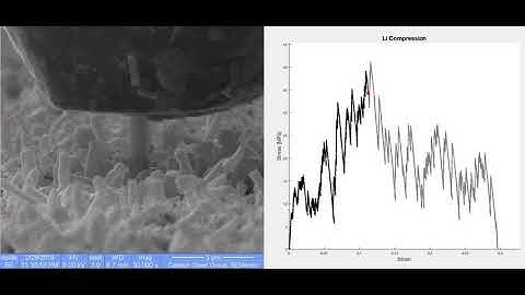 A Close-Up View of Lithium-Metal Dendrites