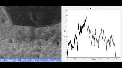 A Close-Up View of Lithium-Metal Dendrites