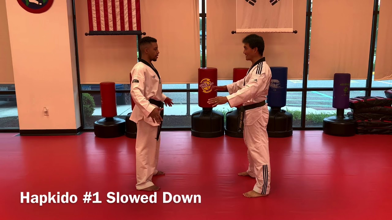 Black Belt Hapkido Level 1 Stepbystep YouTube