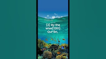 ترجمة معاني القرآن الكريم _ الترجمة الإنجليزية _ سورة يس Yā Sīn ‐ Translated To English