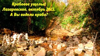 Крабовое ущелье в Лазаревском! Осень 2023г. Воды мало но я не пожалел !🌴ЛАЗАРЕВСКОЕ СЕГОДНЯ🌴СОЧИ.