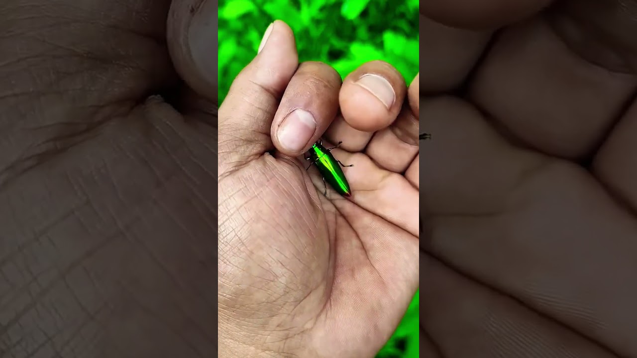 New Cool Tool!🥰 New Viral Gadgets, Smart Kichen Appliances, Tolls, Utensils, HomeCleaning 