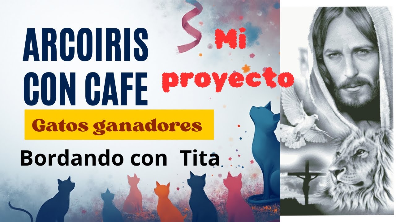 Proyecto en cámara rápida . 