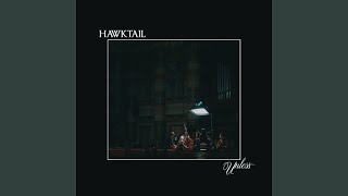 Video thumbnail of "Hawktail - In the Kitchen"
