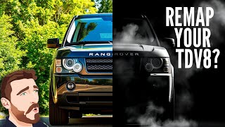 Should you REMAP or EGR/DPF DELETE your TDV8 Range Rover?