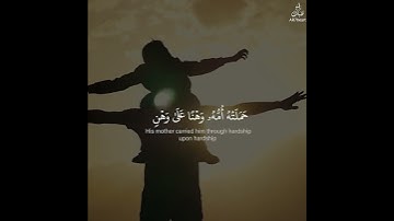 اللهم اجعل القرآن الكريم 🤲 ربيع قلوبنا و نور صدورنا و جلاء أحزاننا و ذهاب همومنا و أنيس قبورنا 🤲❤️🤲