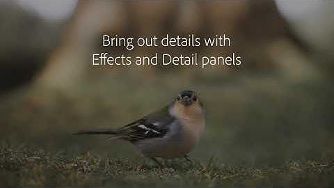 Use colour to create drama – DSLR Tutorial @withluke | Adobe UK