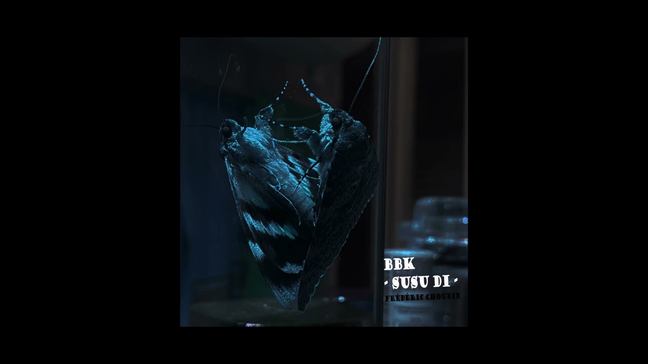 Frédéric Choudin - Mera Dil / Mon coeur