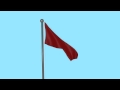 Blender Flag Animation