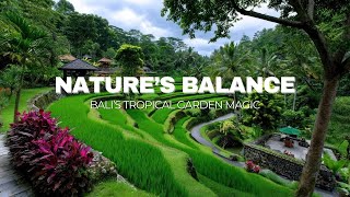 From Ubud to Your Backyard  Bali’s Lush Tropical Garden Secrets for Sustainable Living